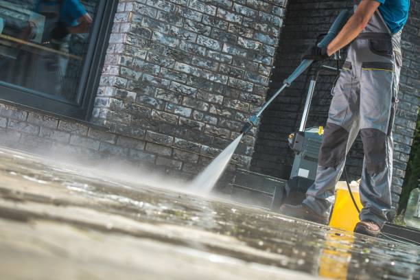 Animal Enclosure Cleaning in Mckinleyville, CA